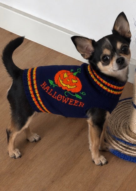 Suéter de Punto "Halloween Pumpkin" para Perros y Gatos - Azul Marino