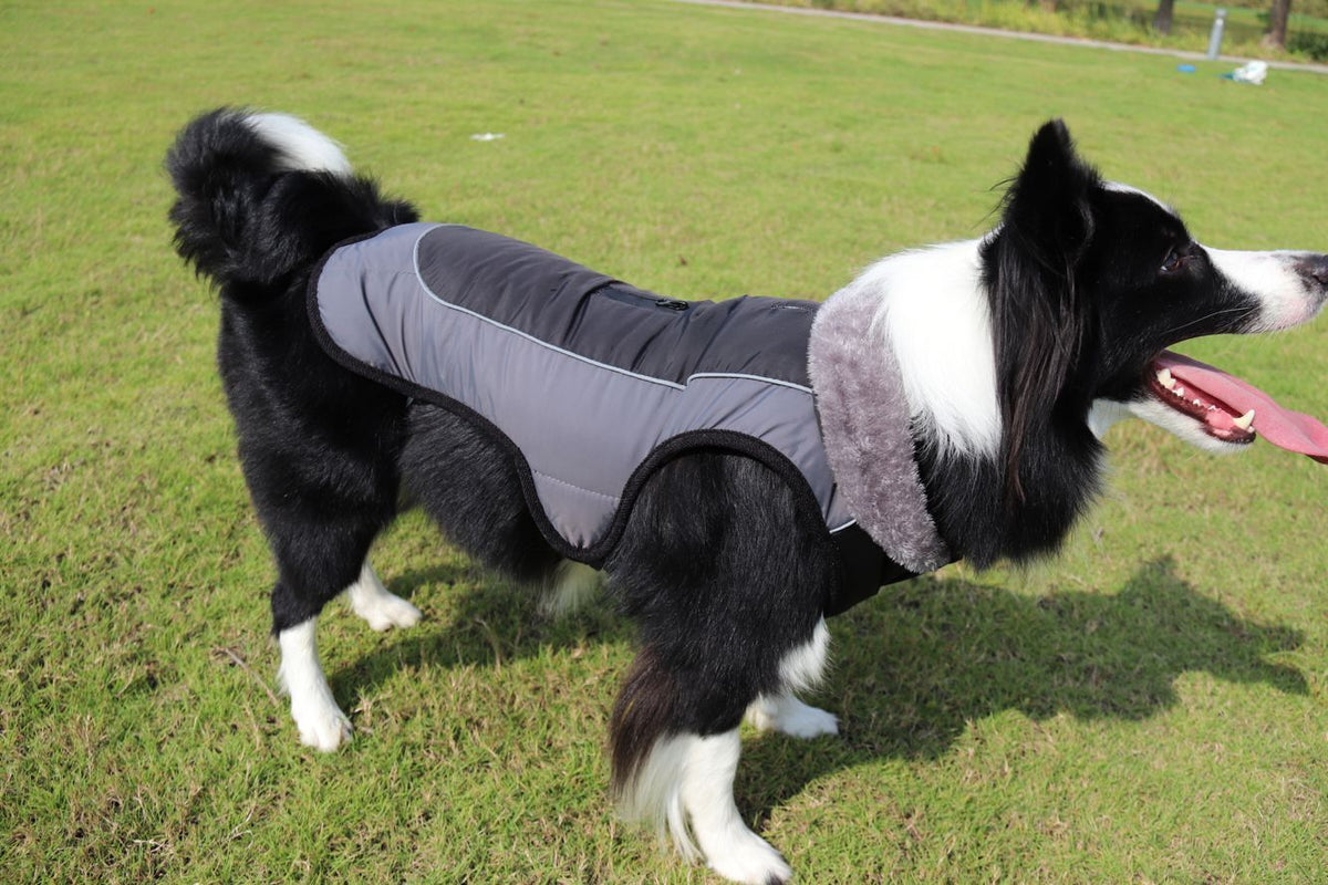 Abrigo Acolchado Grueso y Reflectante para Perros - Protección Térmica Invernal