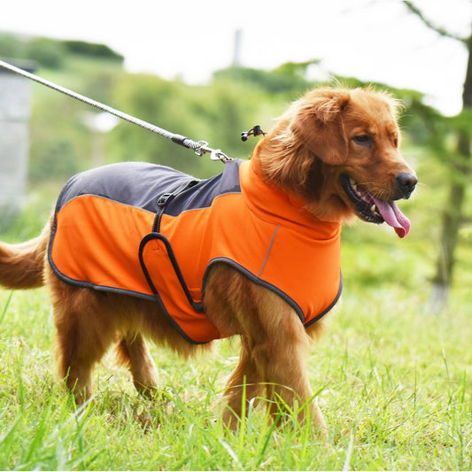 Abrigo Reflectante Cálido de Otoño e Invierno para Perros - Varios Colores