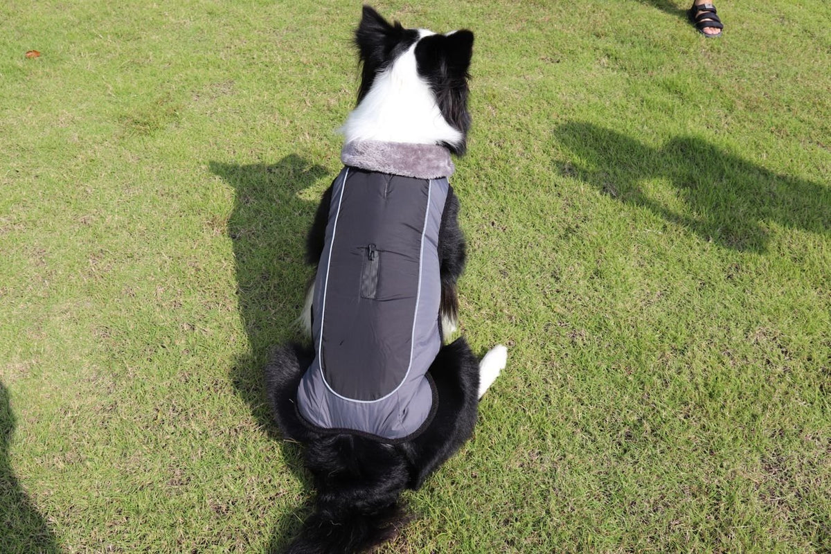Abrigo Acolchado Grueso y Reflectante para Perros - Protección Térmica Invernal