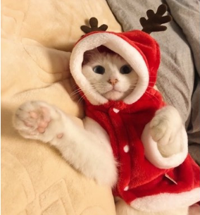 Disfraz Navideño de Reno para Perros y Gatos