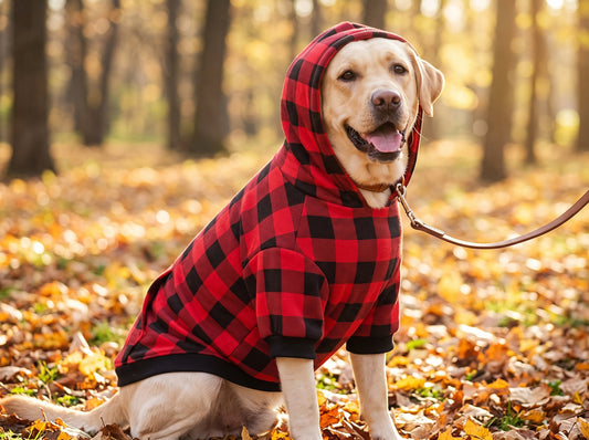 Sudadera Navideña A Cuadros Negros y Rojos