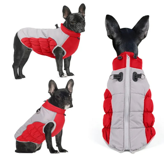 Abrigo de Invierno Impermeable y Cortavientos para Perros Medianos y Grandes - Varios Colores