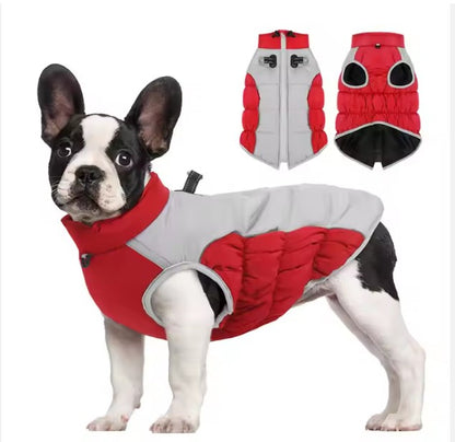 Abrigo de Invierno Impermeable y Cortavientos para Perros Medianos y Grandes - Varios Colores
